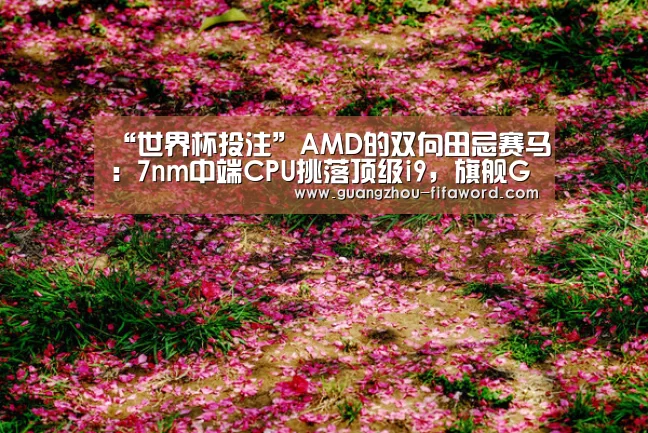 世界杯买球